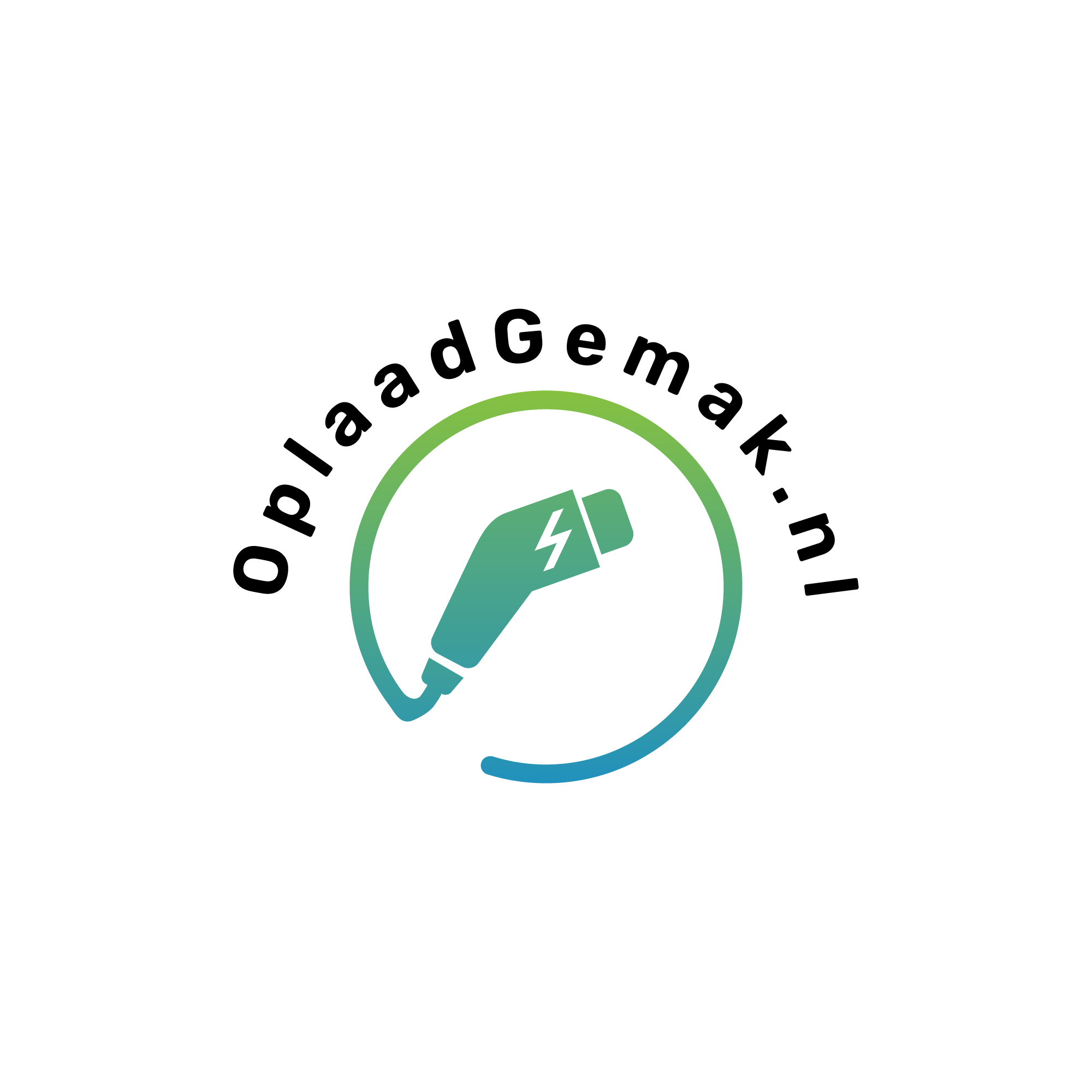 Logo Watermark